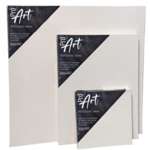 Lienzo Standard 20x20